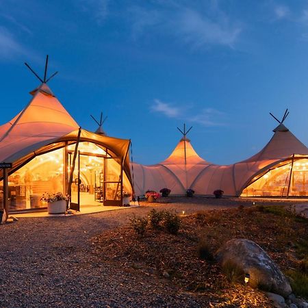Under Canvas Acadia Surry Luaran gambar