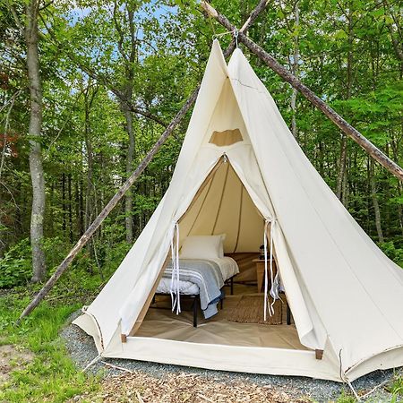 Under Canvas Acadia Surry Luaran gambar